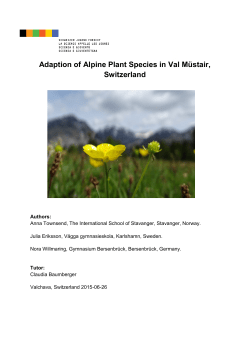 Adaption of Alpine Plant Species in Val M&uuml;stair, Switzerland