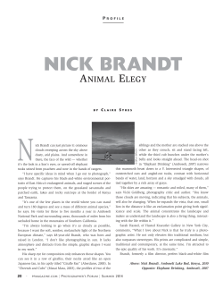nick brandt - Claire Sykes