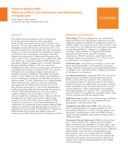 Effects of ECM on Cell Proliferation and Differentiation in