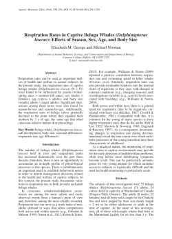 Respiration Rates in Captive Beluga Whales (Delphinapterus leucas)