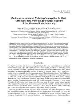 On the occurrence of Rhinolophus lepidus in West Turkestan: data