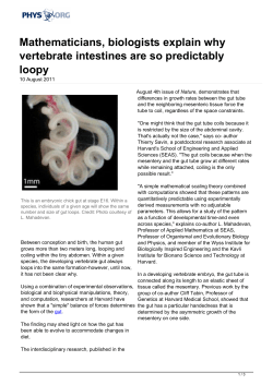 Mathematicians, biologists explain why vertebrate