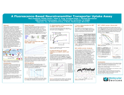 A Fluorescence-Based Neurotransmitter Transporter Uptake Assay