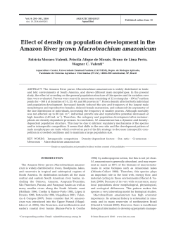 Effect of density on population development in the Amazon River
