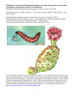 Preliminary assessment of the potential impacts and risks of the