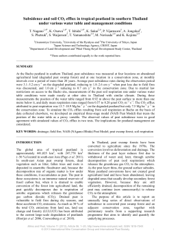 Subsidence and soil CO2 efflux in tropical peatland