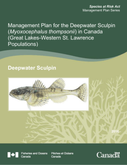 Management Plan for the Deepwater Sculpin (Myoxocephalus