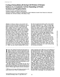 Cycling of Intracellular pH during Cell Division of Xenopus Embryos
