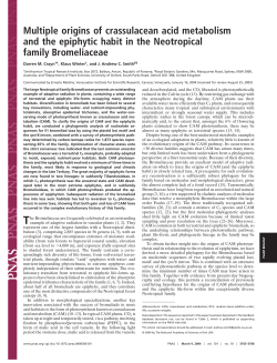 Multiple origins of crassulacean acid metabolism and the epiphytic