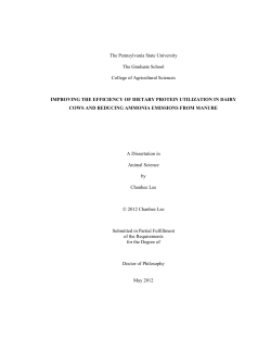 IMPROVING THE EFFICIENCY OF DIETARY PROTEIN