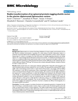 Stable transformation of an episomal protein