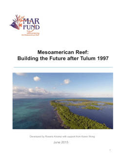 Building the Future after Tulum 1997