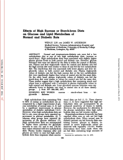 Effects of High Sucrose or Starch-bran Diets on Glucose and Lipid