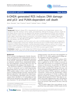 6-OHDA generated ROS induces DNA damage and p53