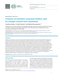 Predation of nitritation&ndash;anammox biofilms used for nitrogen removal