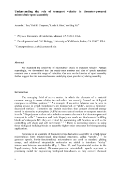 Understanding the role of transport velocity in