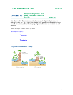 Ch. 5.5 Enzymes