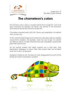 The chameleon`s colors