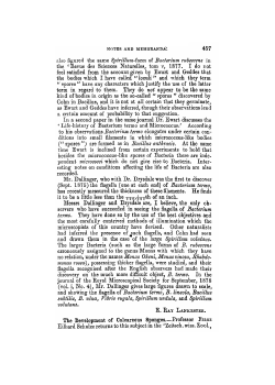 also figured the same Spirillum-form of Bacterium, ruhescens in the