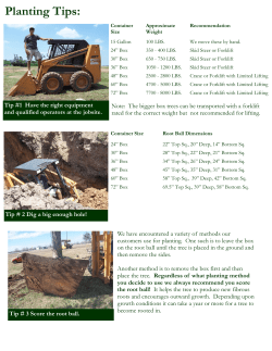 Planting Tips - Glen Flora Farms