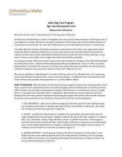 Idaho Big Tree Program