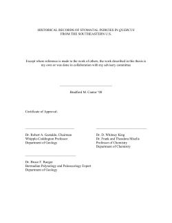 Honors Thesis Available