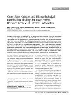 Gram Stain, Culture, and Histopathological Examination Findings for