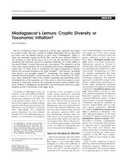 Madagascar`s Lemurs: Cryptic diversity or taxonomic