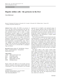 Hepatic stellate cells—the pericytes in the liver