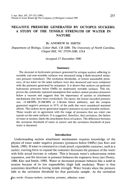 negative pressure generated by octopus suckers: a study of the