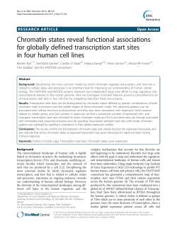 Chromatin states reveal functional associations for globally defined