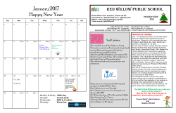 Dec Holiday Newsletter - Pages