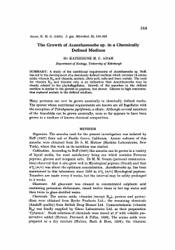 The Growth of Acanthamoeba sp. in a Chemically