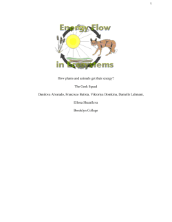 How plants and animals get their energy? - educ-science-math-tech