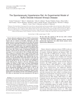 The Spontaneously Hypertensive Rat: An
