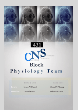 Physiology Of speech