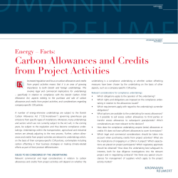 Carbon Allowances and Credits from Project Activities