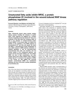 Unsaturated fatty acids inhibit MP2C, a protein phosphatase 2C
