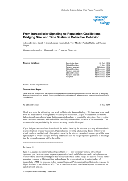 From Intracellular Signaling to Population Oscillations: Bridging Size