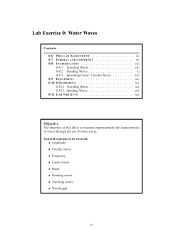 Lab Exercise 0: Water Waves