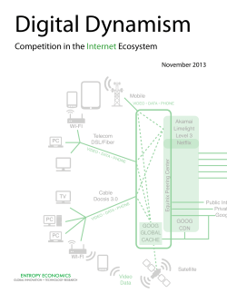 Digital Dynamism - Entropy Economics