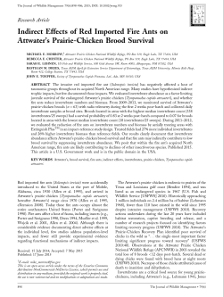 Effects of RIFA on APC Survival - Friends of Attwater Prairie Chicken