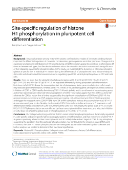 Site-specific regulation of histone H1 phosphorylation in pluripotent