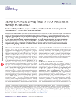 Energy barriers and driving forces in tRNA translocation through the