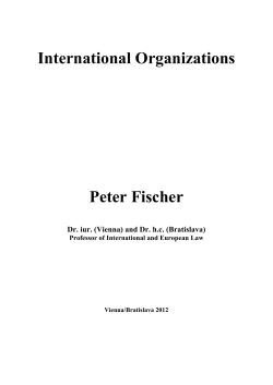 International Organizations Peter Fischer