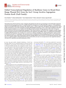 Global Transcriptional Regulation of Backbone Genes in Broad