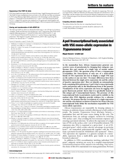 ApolItranscriptionalbodyassociated with VSG mono