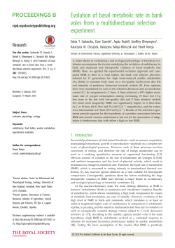 Evolution of basal metabolic rate in bank voles from a