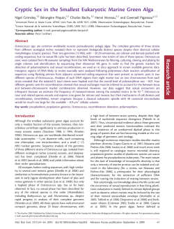 Cryptic Sex in the Smallest Eukaryotic Marine
