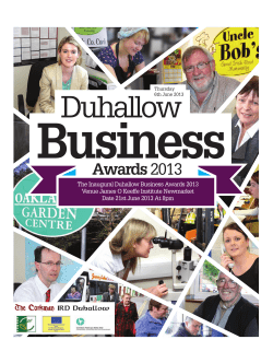 Duhallow Business Awards 2013